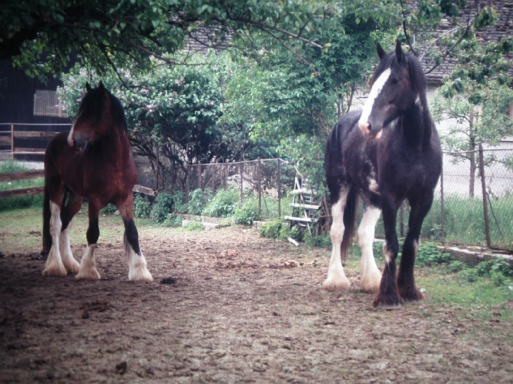 Wanderung 1996_020.jpg